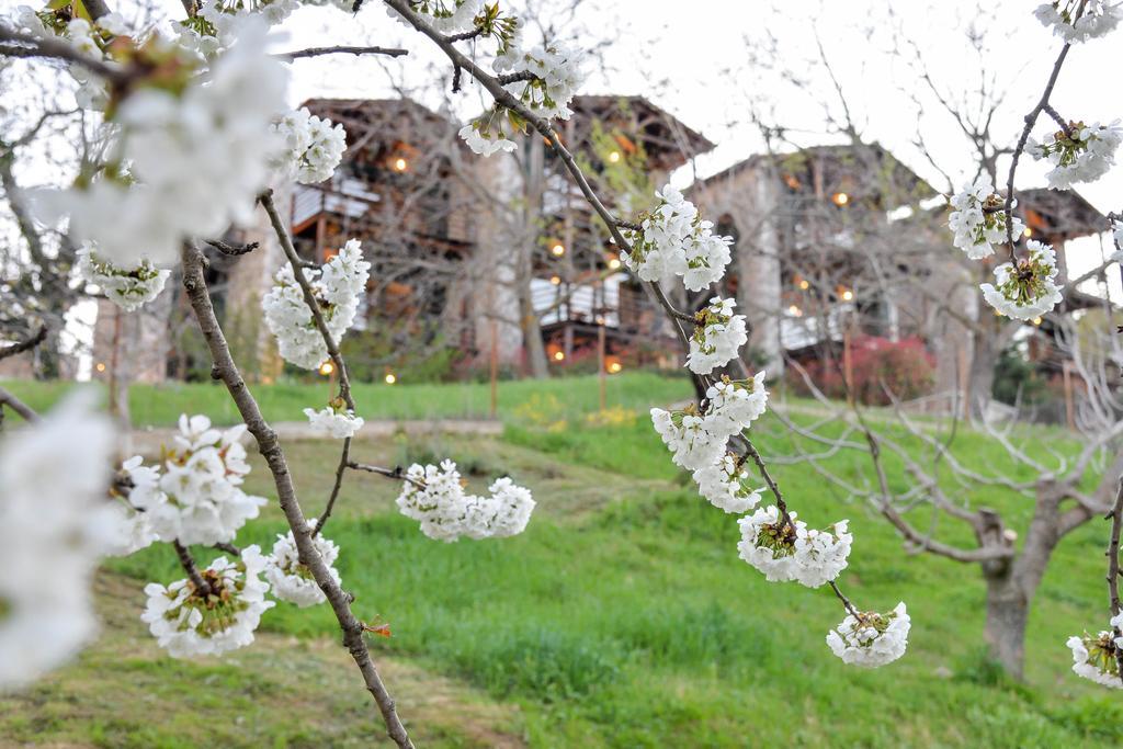 Vathyskia Guesthouse Kato Sinikia Trikalon Bagian luar foto